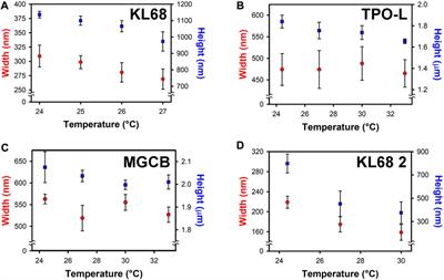 Thermal feature-size enhancement in multiphoton photoresists
